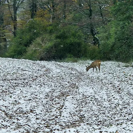 Appartement Zlota Widokowka *