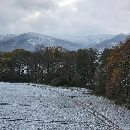 Zlota Widokowka Lejlighed *