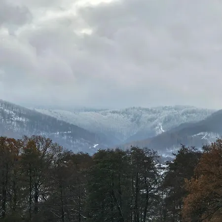 Zlota Widokowka *