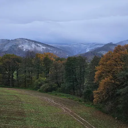 Zlota Widokowka Явоже