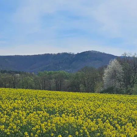Zlota Widokowka Lejlighed *