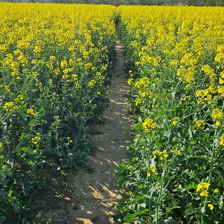 Lejlighed Zlota Widokowka *