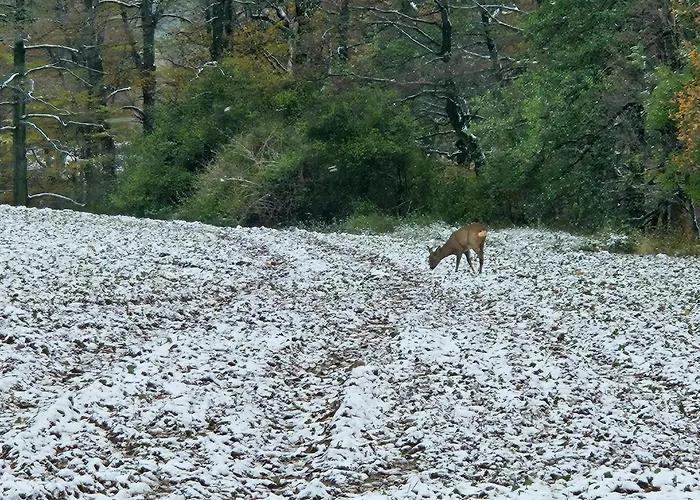 Apartment Zlota Widokowka *