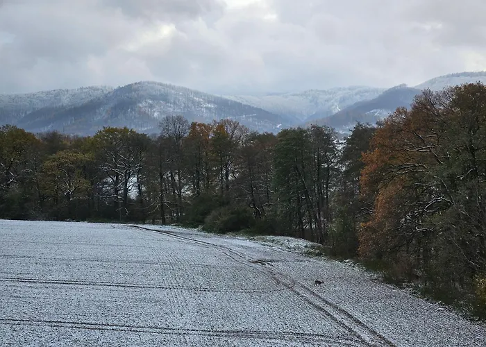 Zlota Widokowka Apartment *