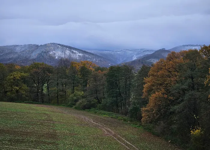 Zlota Widokowka Jaworze