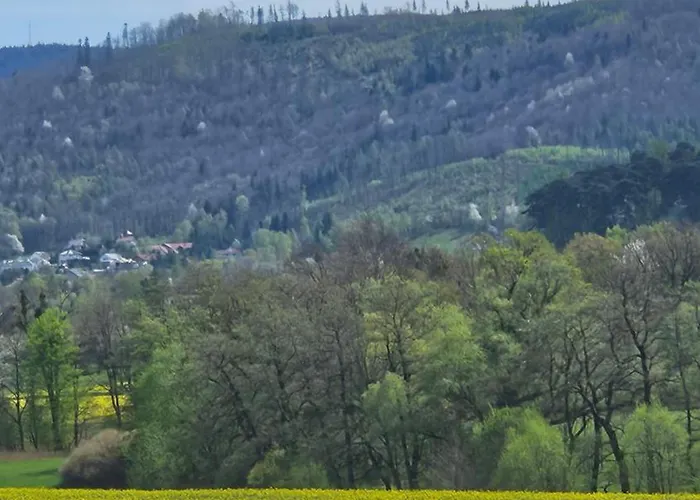 Zlota Widokowka Apartment *