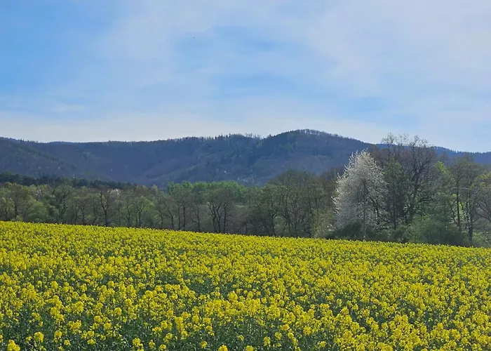 Zlota Widokowka Apartment *