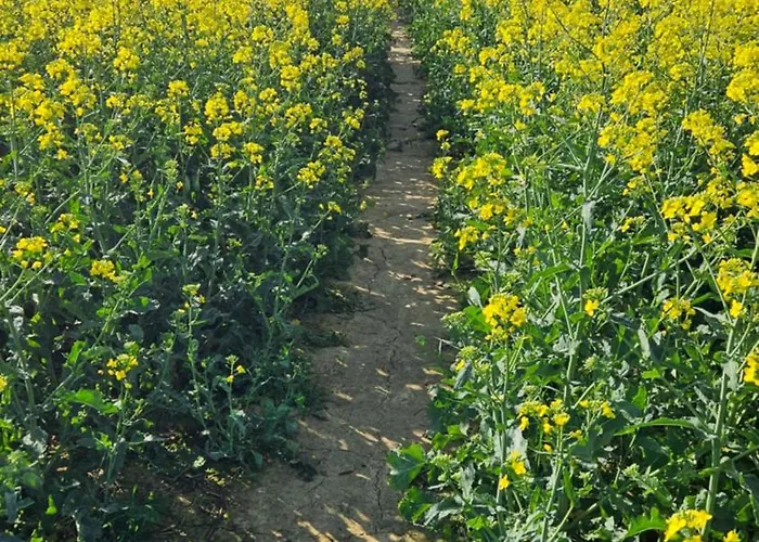 Apartment Zlota Widokowka *